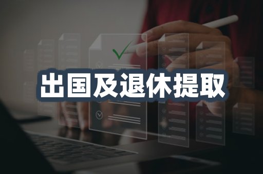 出国及退休提取